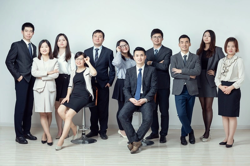 Canned Apricot Halves Apricot Canned with High Quality