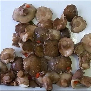 Konservēti Suillus Sēņu